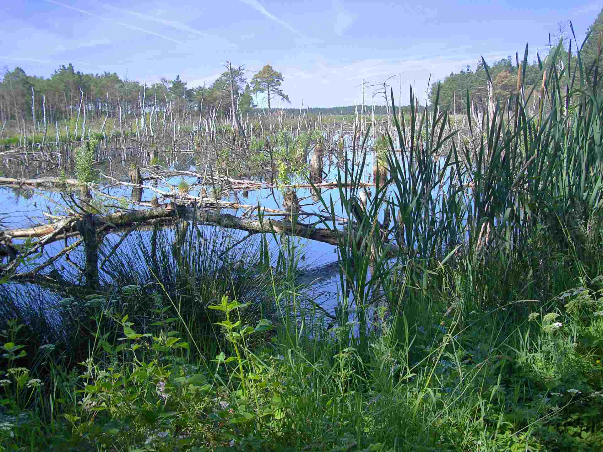 Am Steinernen Meer in Deutschland