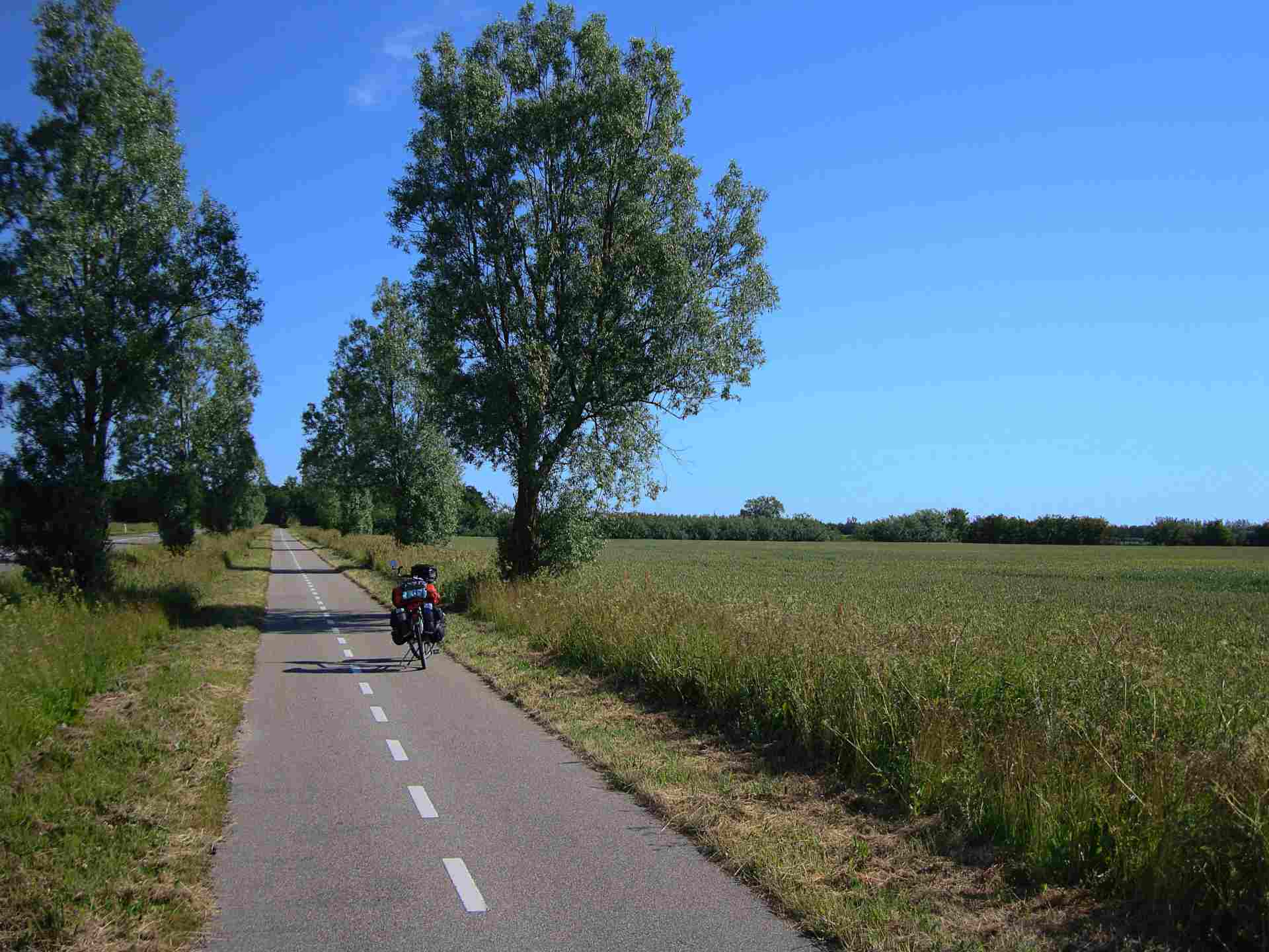 In Dänemark gibt's Velowege mit getrennten Fahrbahnen